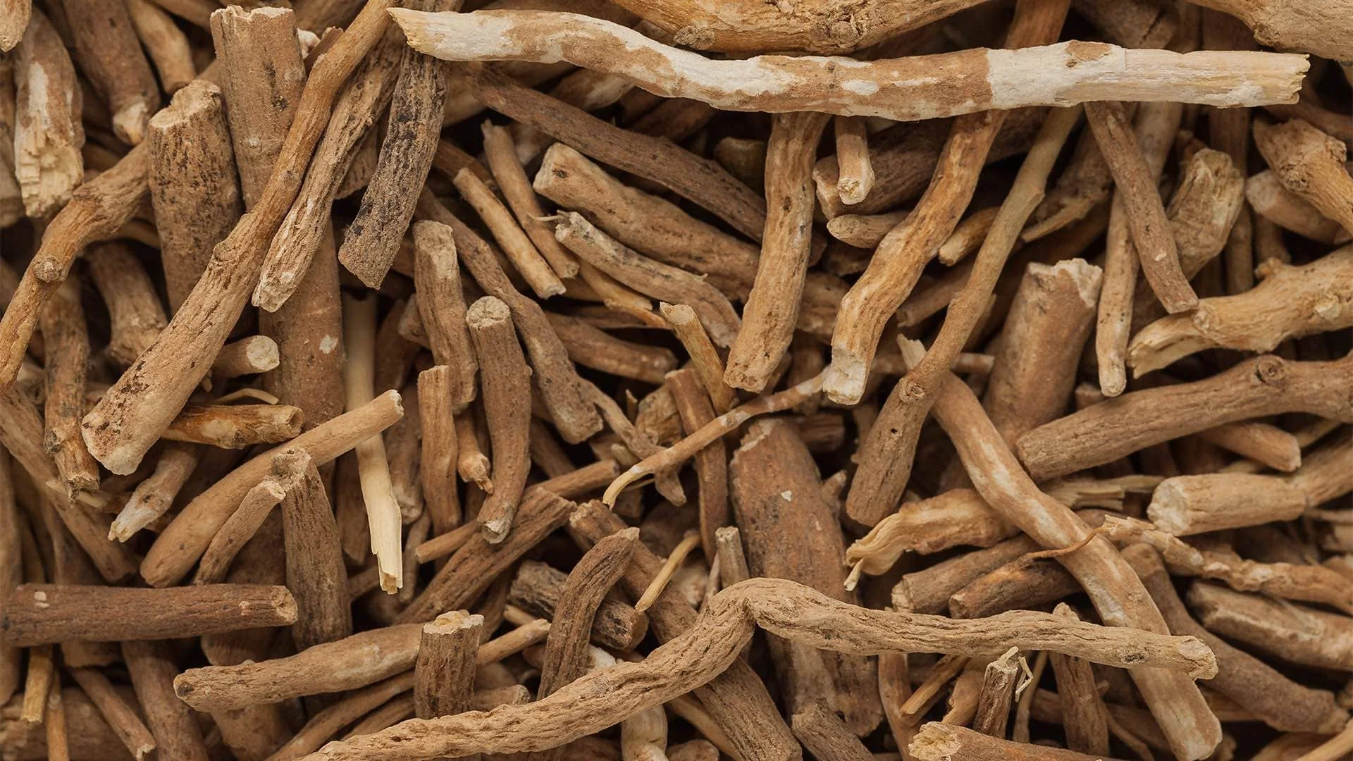 Organic Roots
